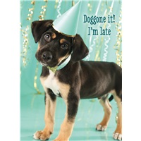 Birthday Pup