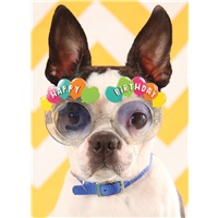 Birthday Shades