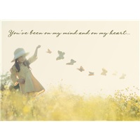 Butterflies Are Free
