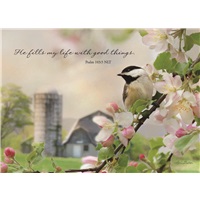 Apple Blossom Bird