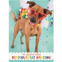 Awesome Sunglasses