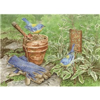 Planting Time