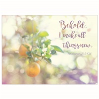 Apple Blossoms