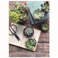 Books and Succulents