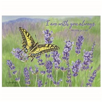 Butterfly in the Lavender