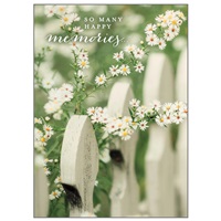 Fence with Daisies