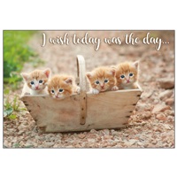 Kittens in Tote
