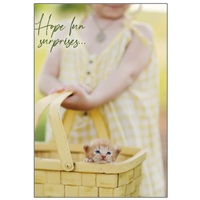Kitten in Yellow Basket