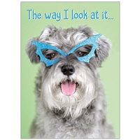 Gray Pup in Glasses