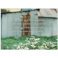 Daisy Day