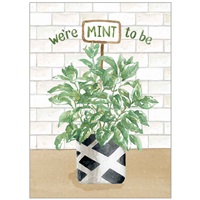 Herb Garden