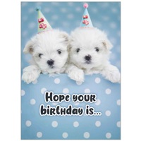 Double Birthday Pups