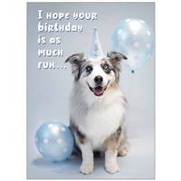 Party Dog