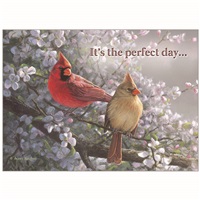 Springtime Cardinals