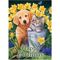 Puppy and Kitten