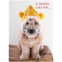 Beannie Pup