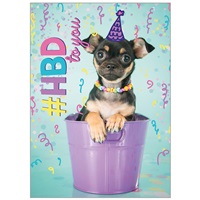 HBD to You