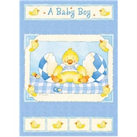 A Baby Boy Duck