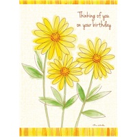 Floral Daisy