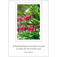 Hundreds of Hearts