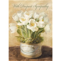 Blooming Tulips
