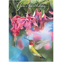 Hummingbird and Fuchsia