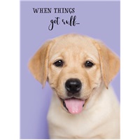 Man's Best Friend