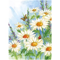 Daisy Days