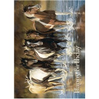 Horses Through Water