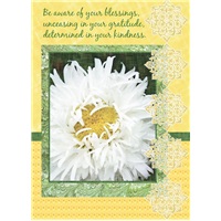 White Shredded Daisy