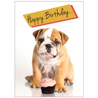 Dog With Cupcake