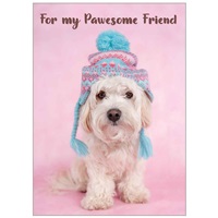 Dog In Knit Hat