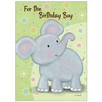 Baby Elephant