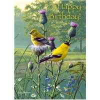 Goldfinches