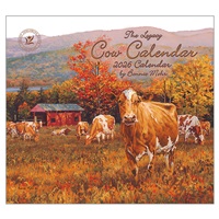 Brown Cow Stare