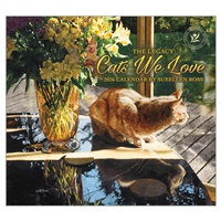 Cat Reflection