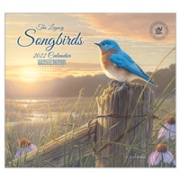 Bluebird Sunrise