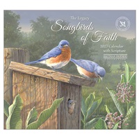 A Bird Family