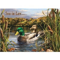 Son-in-Law