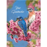 Sympathy - Loss of Grandmother
