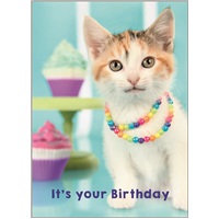 Value - Birthday - Girl