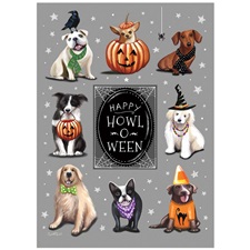 Halloween GCD107844