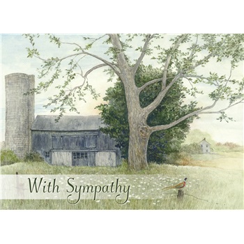 Sympathy GCD21197