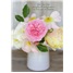 Sympathy GCD28851