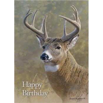 Birthday  GCD39053