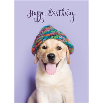 Birthday - Fun GCD43433
