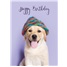 Birthday - Fun GCD43433