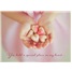 Valentine's Day  GCD46066