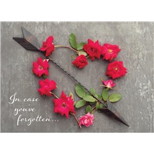 Valentine's Day  GCD48155