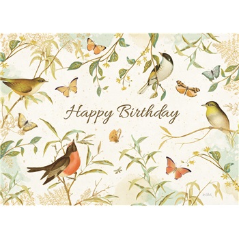 Birthday  GCD49377